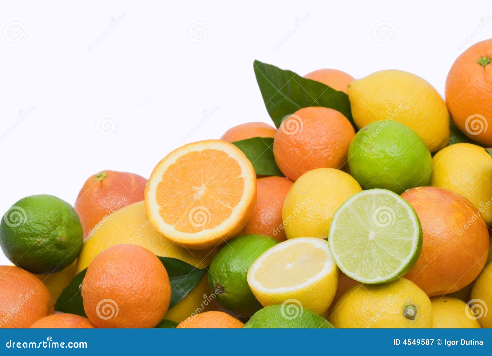 Citrus fruits stock image. Image of fruit, slice, orange 4549587