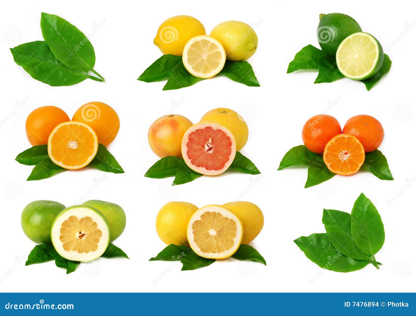 clipart citrus fruits - photo #35