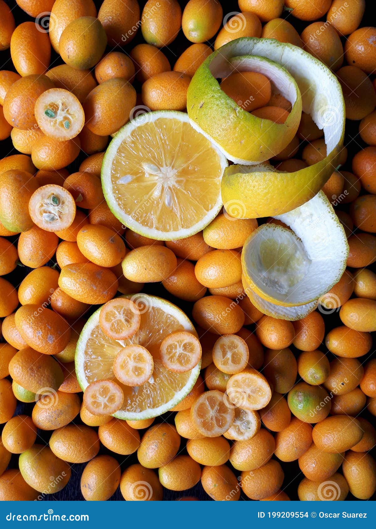 Citrus Fruits of Different Sizes Stock Photo Image of citrus, sizes