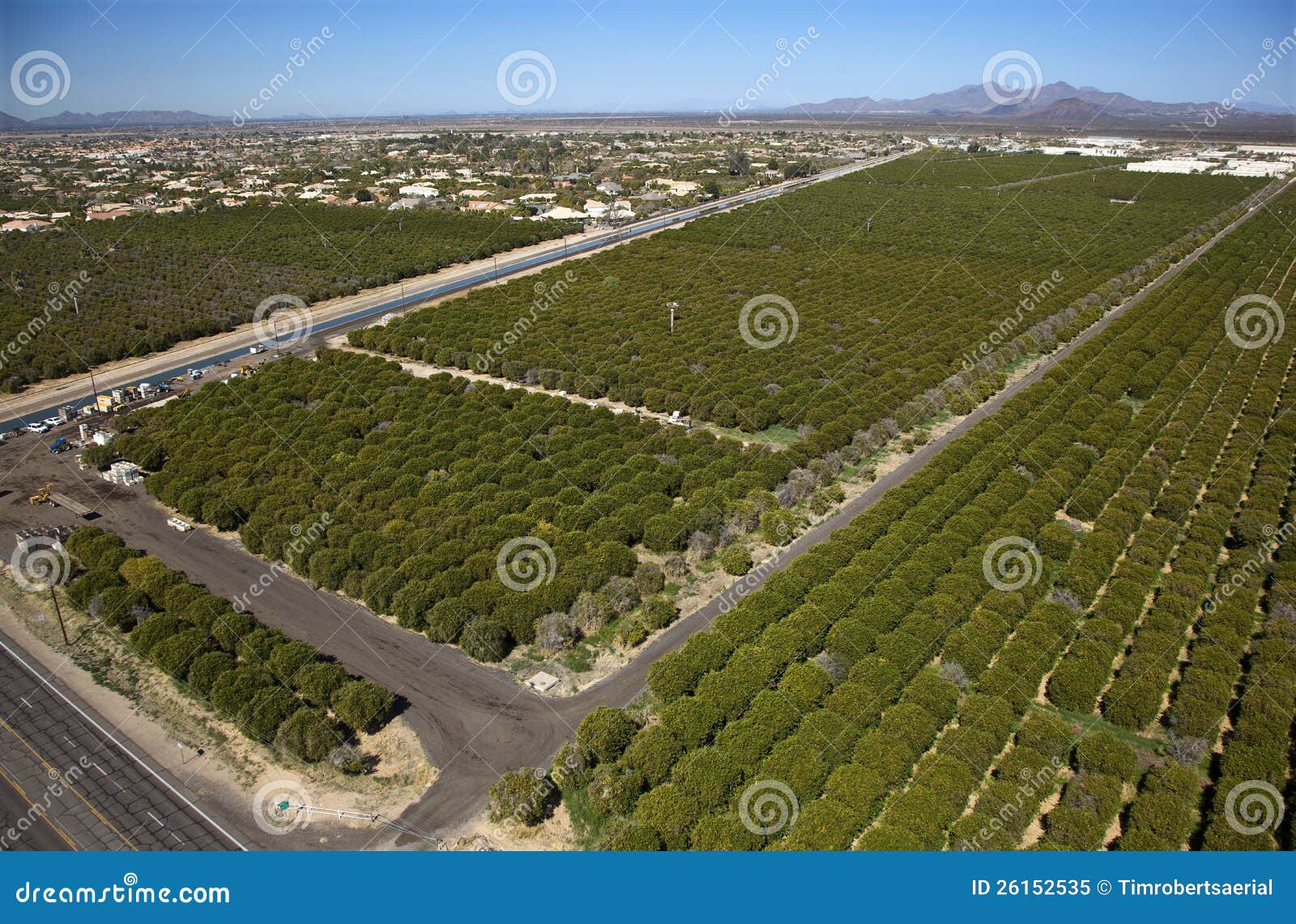 Citrus Groves stock image. Image of homes, irrigation 26152535