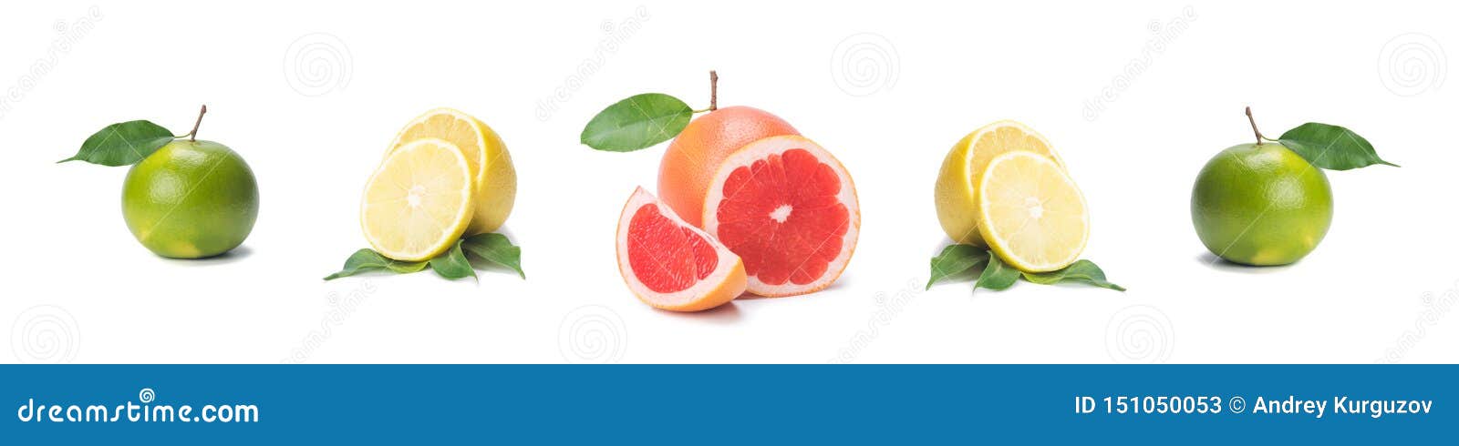 citrus isolate, fresh lemon, pink grapefruit, lime, whole and slices, on a white background, in a row