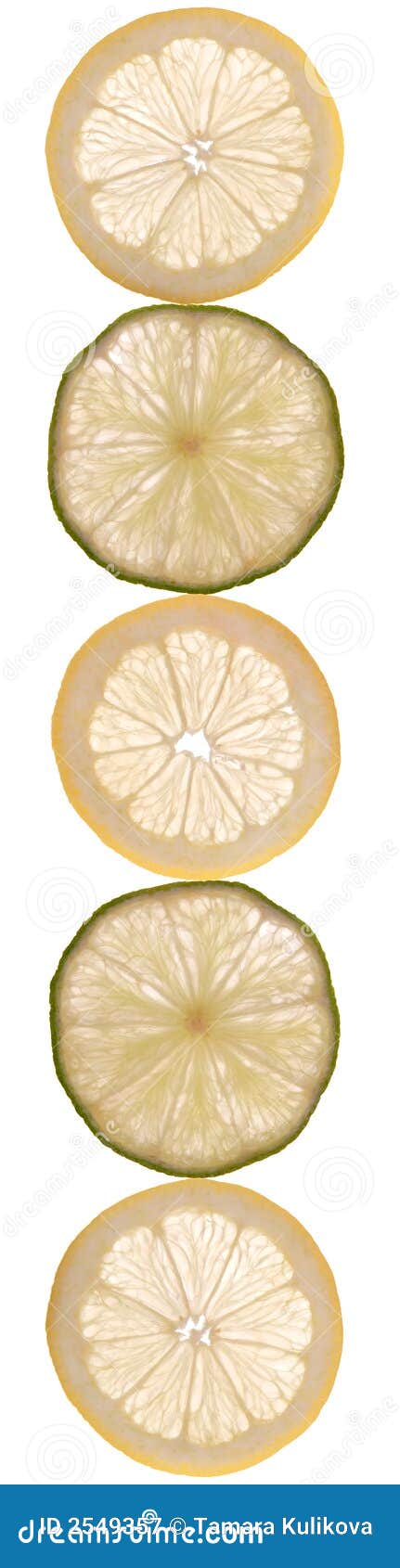 Citrus slice border stock image. Image of transparent - 2549357