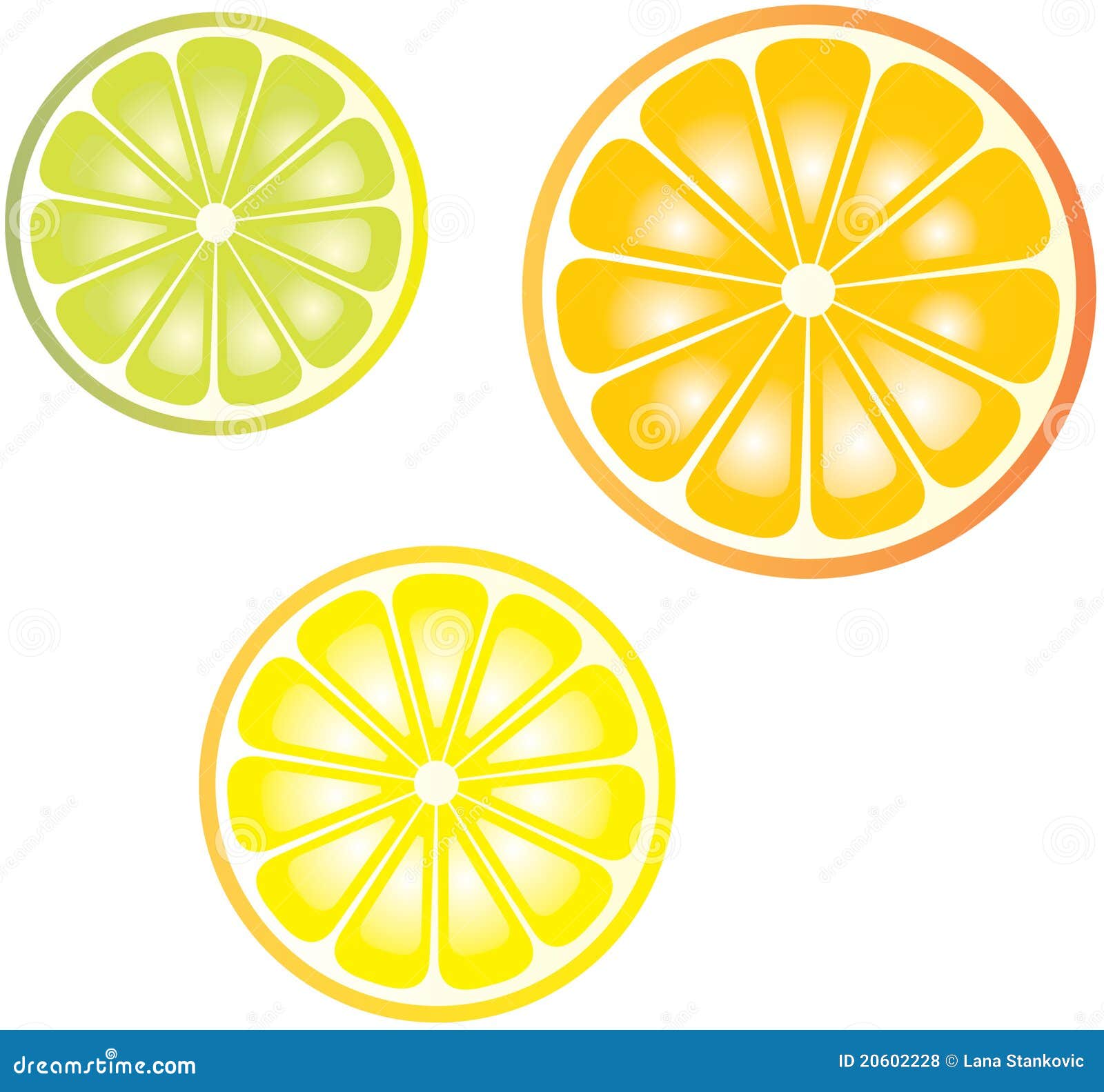 Citruses stock vector. Illustration of diet, food, green - 20602228