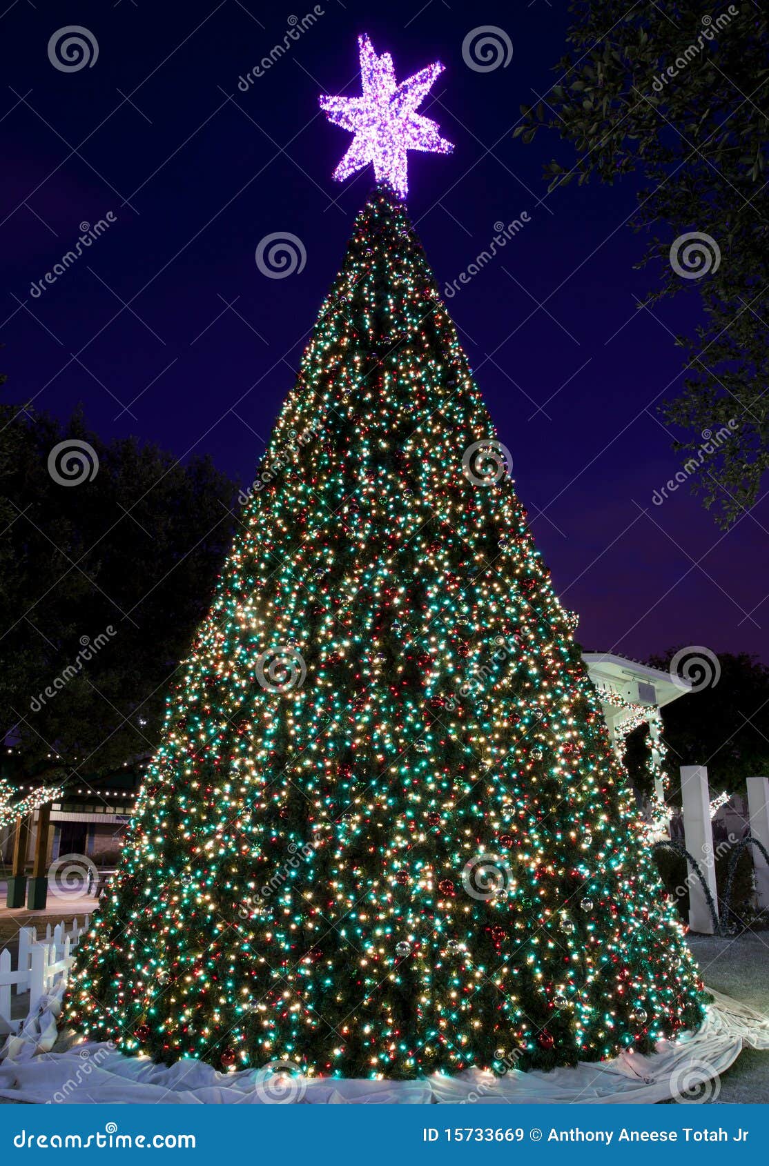 City Hall S Outdoor Christmas Tree Stock Image Image of