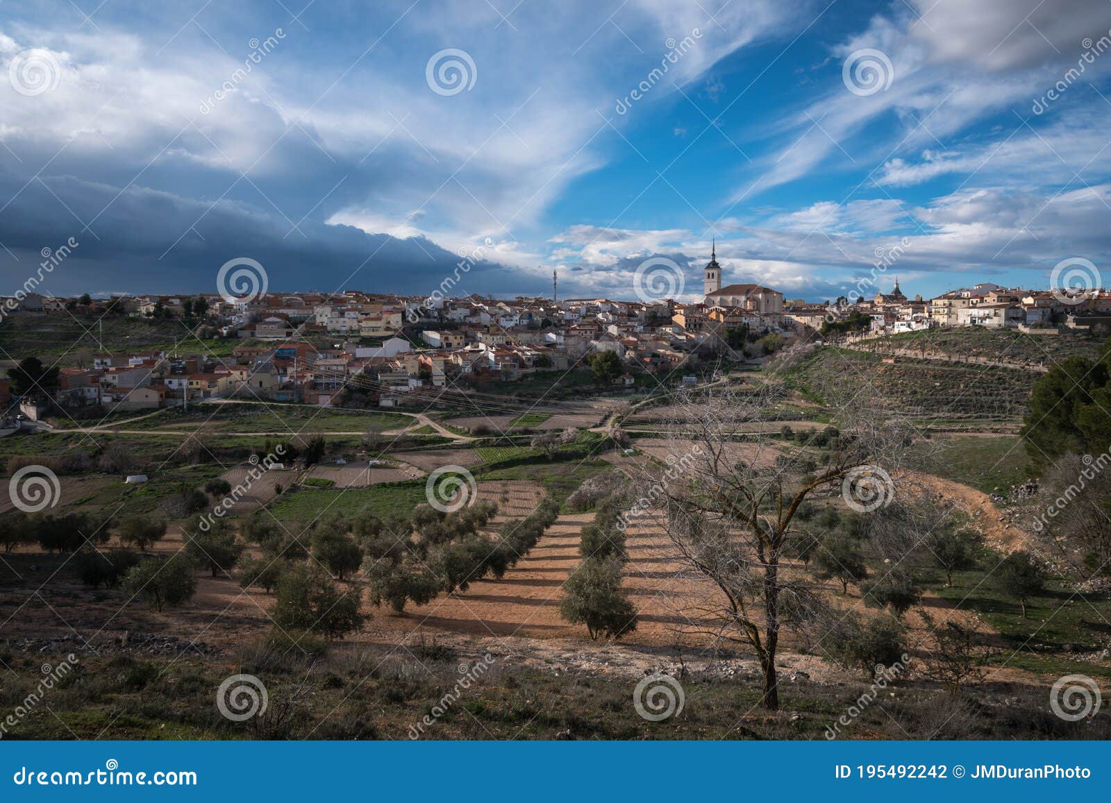 city landscape of the town under a blue sky with a olive field in the foreground, colmenar de oreja, spain