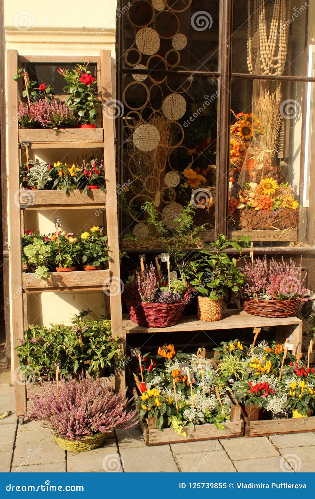 city life - decoration in front of floristÃÂ´s