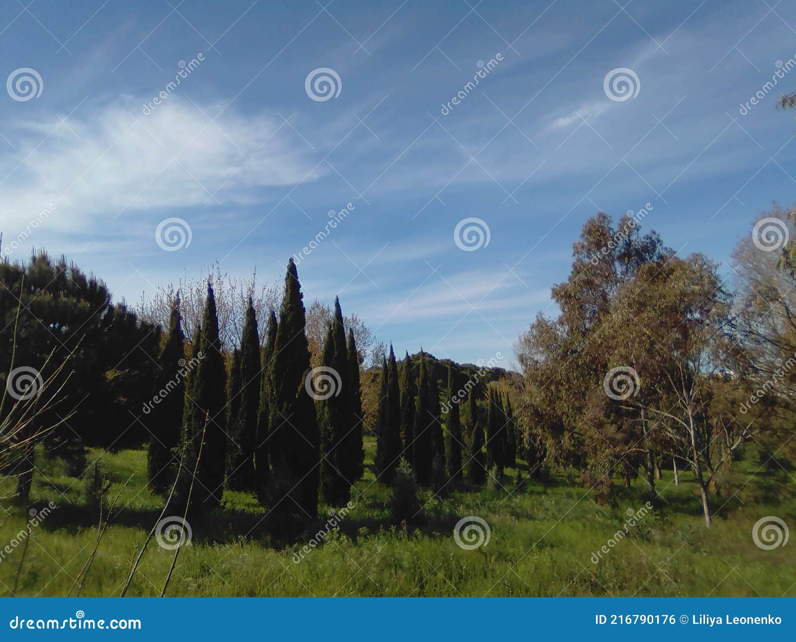 city park in almada portugal. ecologia health life travel relax green trees grass blue sky clouds fresh air nature