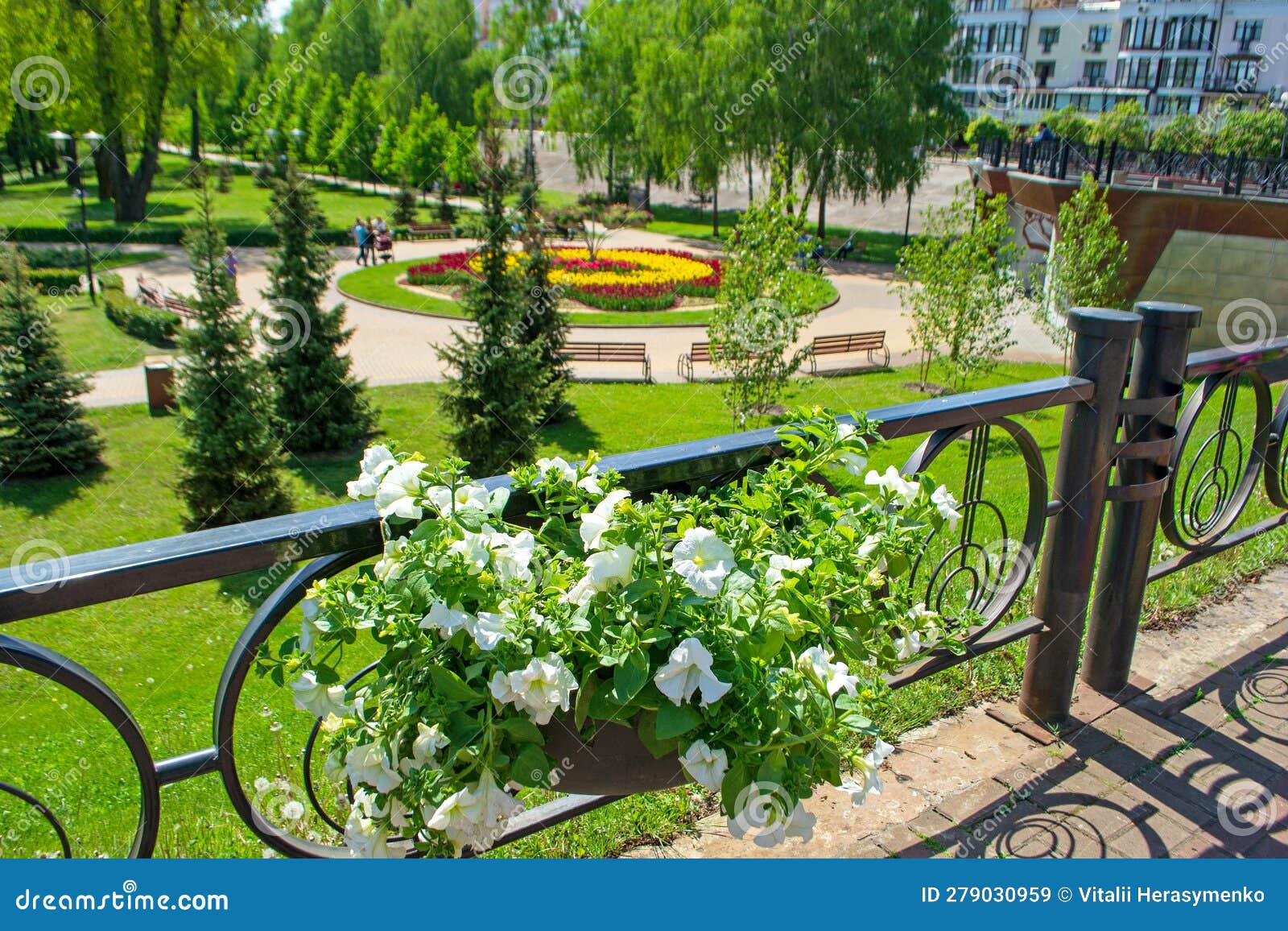 park 