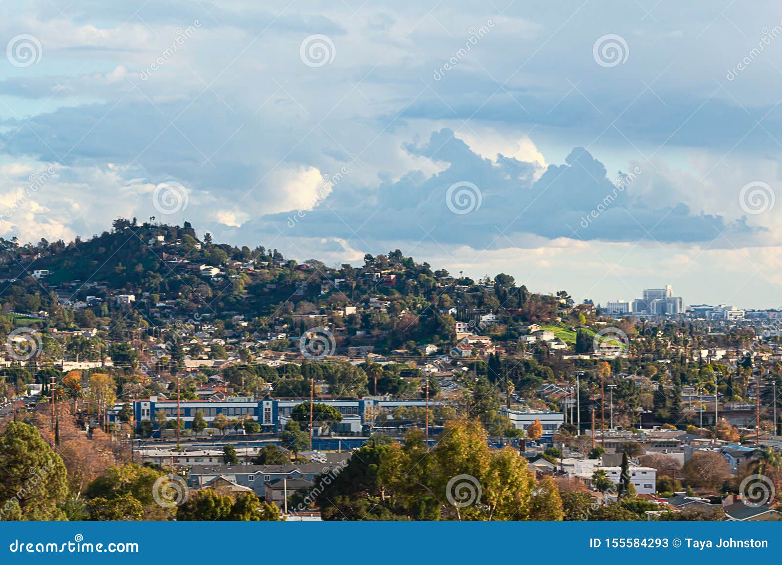 City Scape with Evergreen and Disiduous Trees with Hills and Cloudy ...