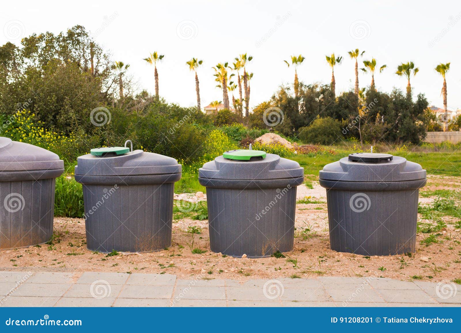 https://thumbs.dreamstime.com/z/city-trash-cans-dumpster-green-overfilled-91208201.jpg
