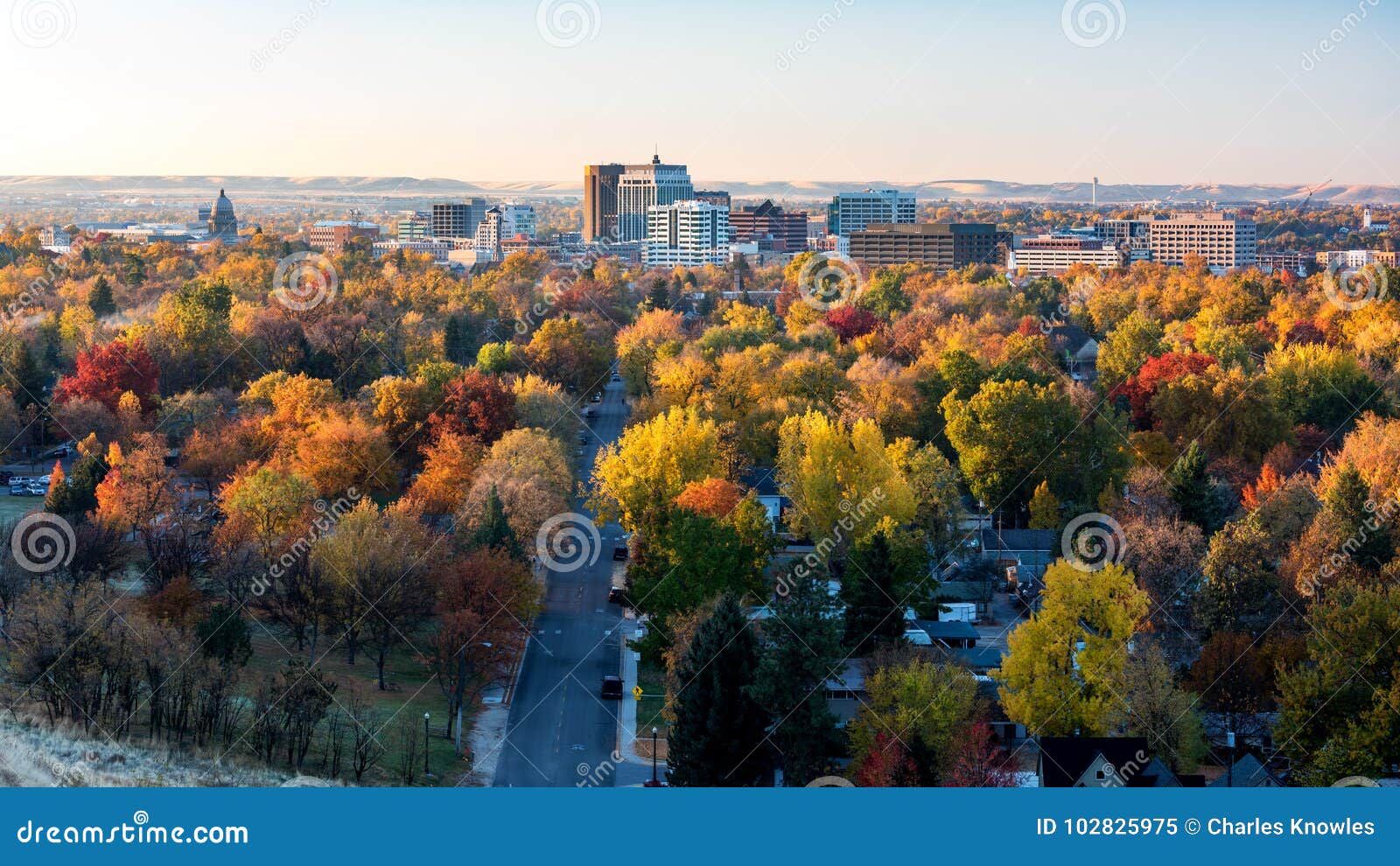 city of trees boise idaho skyline in full fall color