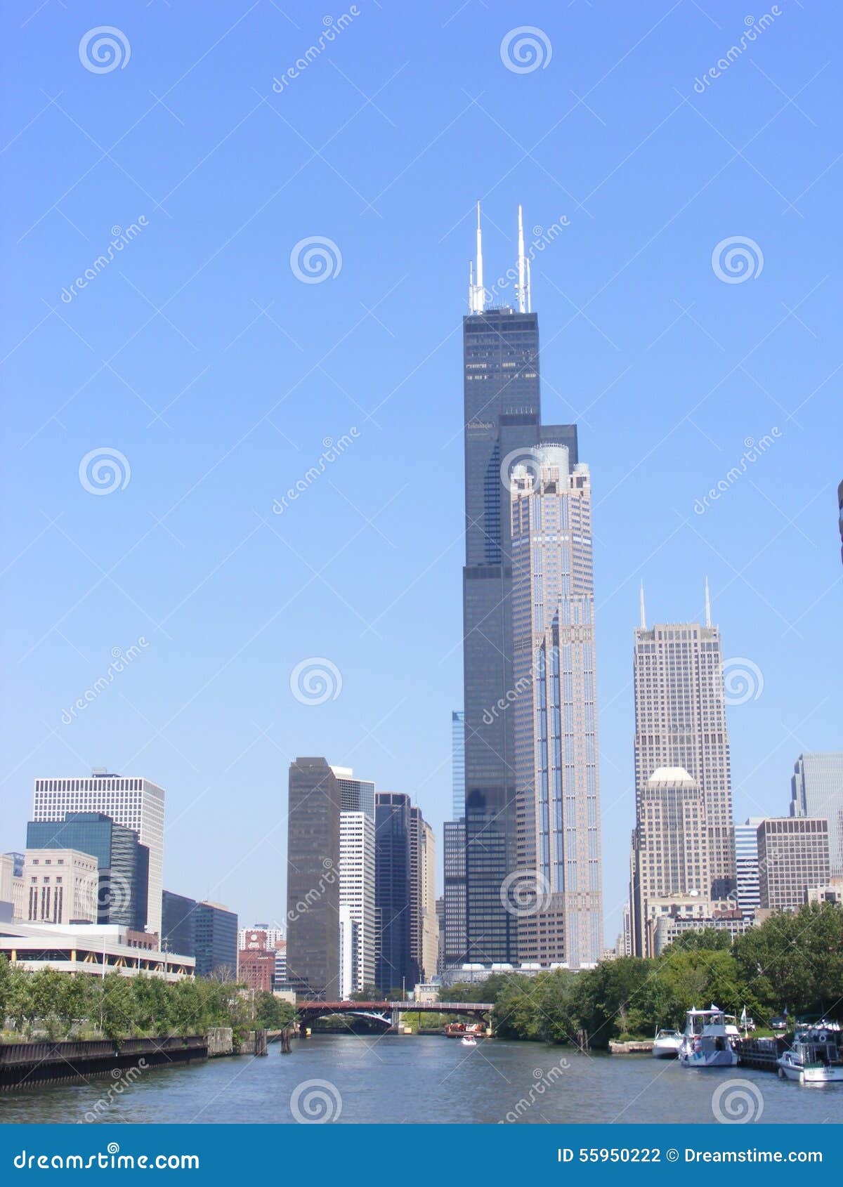 city view of downtown chicago featuring the sears tower