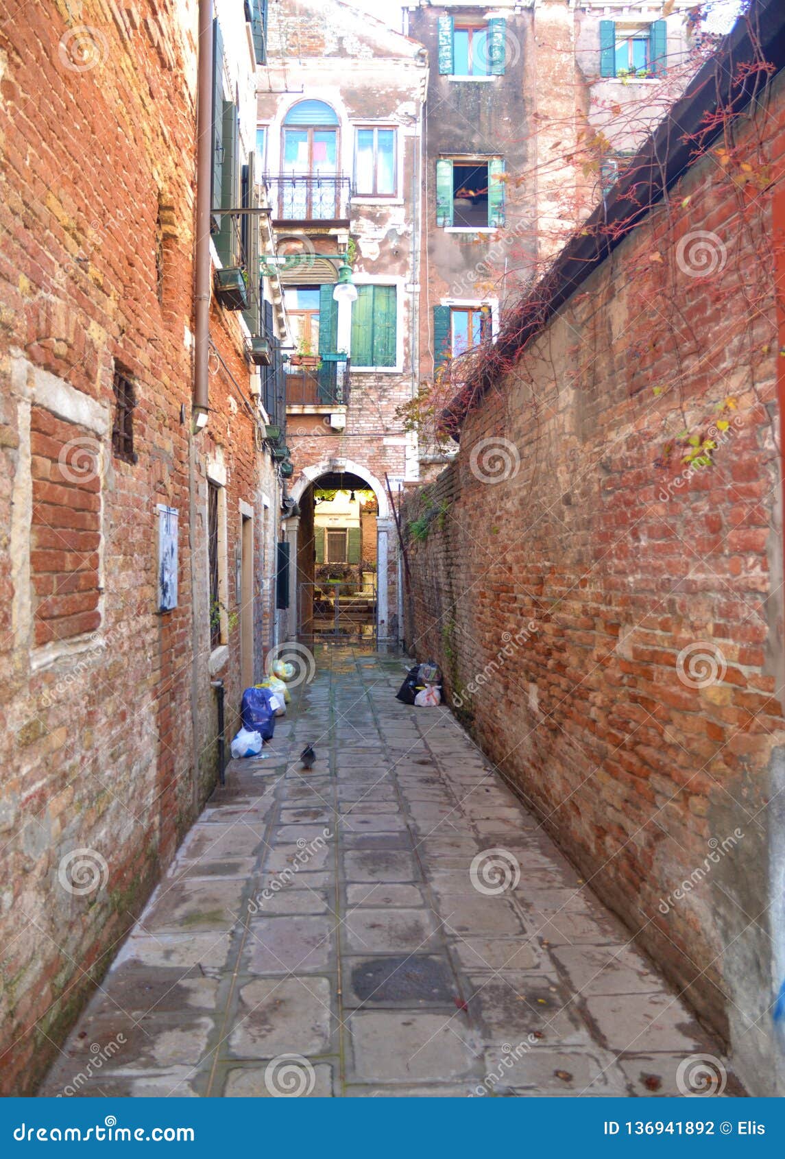 Venice in summer. stock photo. Image of italian, city - 136941892