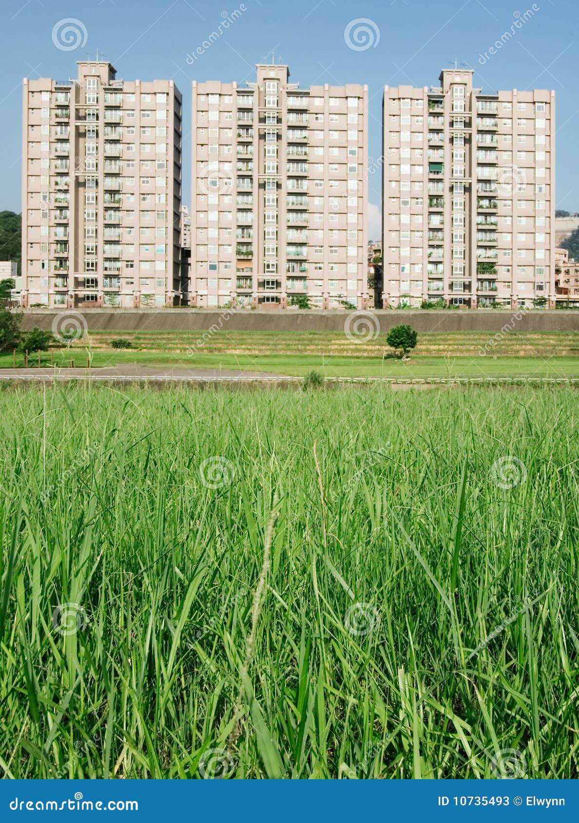 Cityscape of Apartments with Grassland Stock Image Image of luxurious