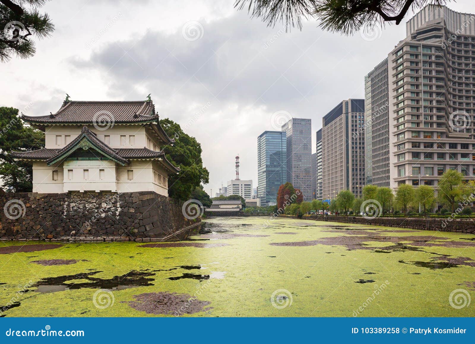 cityscape of tokio at the imperial palace