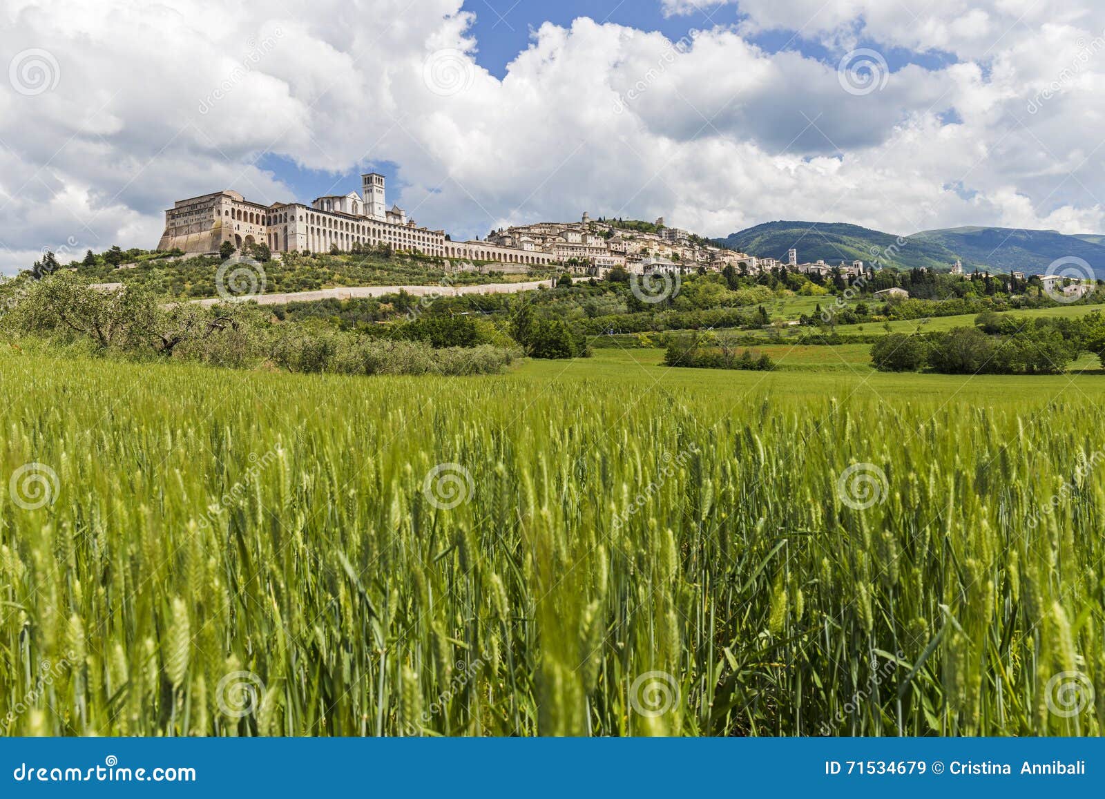 Ciudad histórica de Assisi en Italia Basílica de St Francisco. Vista de la ciudad de Assisi de un campo de maíz