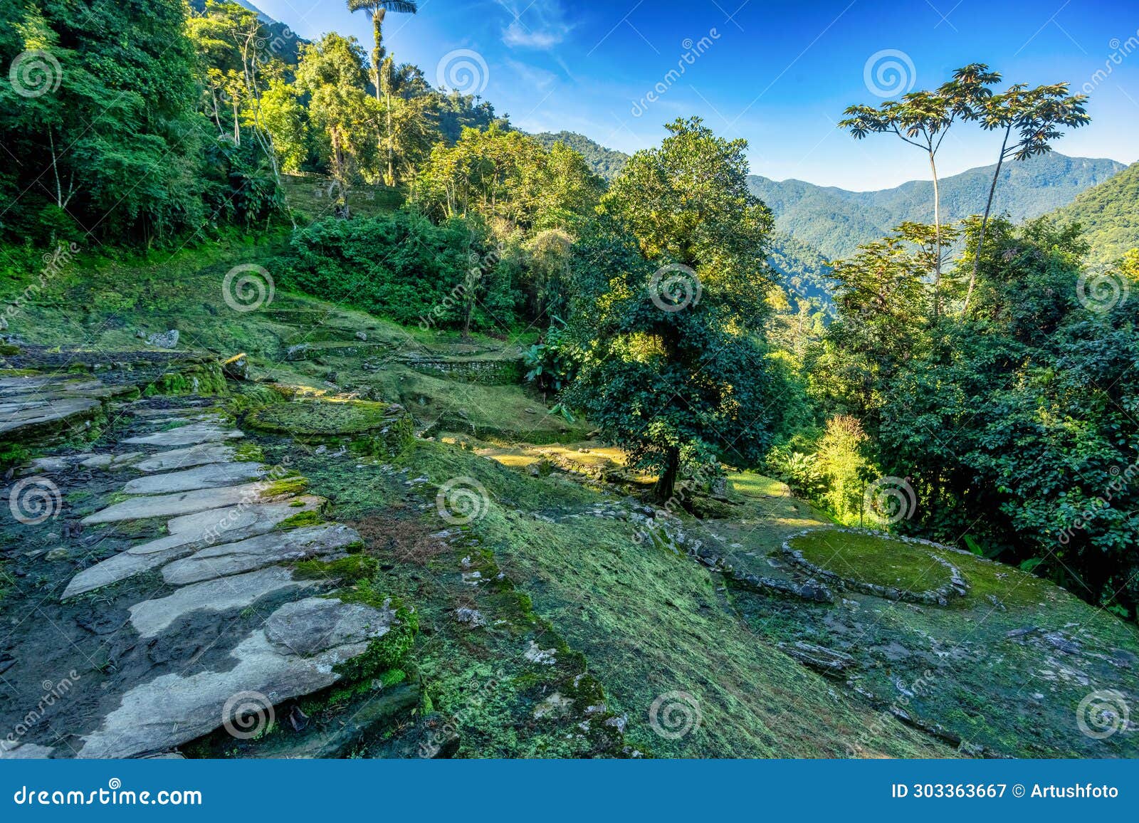 ciudad perdida, ancient ruins in sierra nevada mountains. santa marta, colombia wilderness