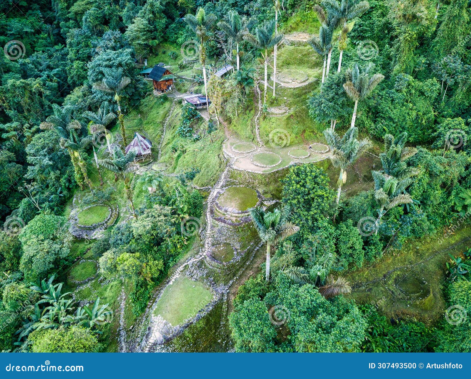 ciudad perdida, ancient ruins in sierra nevada mountains. santa marta, colombia wilderness