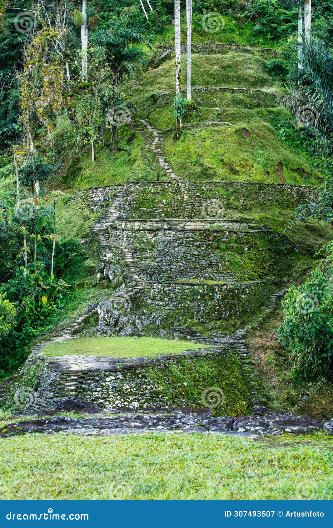 ciudad perdida, ancient ruins in sierra nevada mountains. santa marta, colombia wilderness