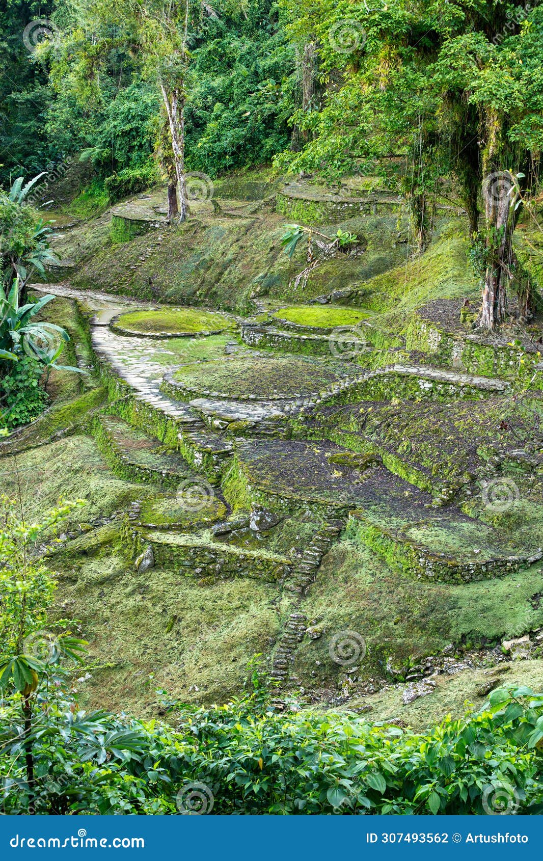 ciudad perdida, ancient ruins in sierra nevada mountains. santa marta, colombia wilderness