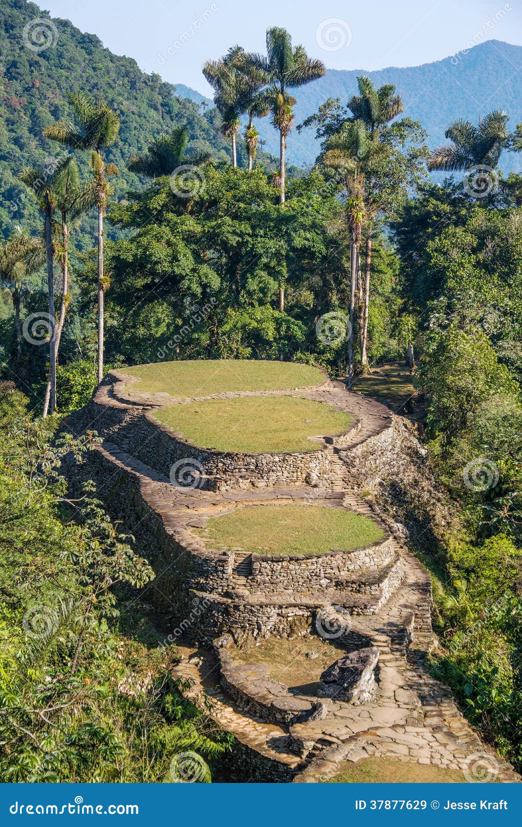 ciudad perdida in colombia