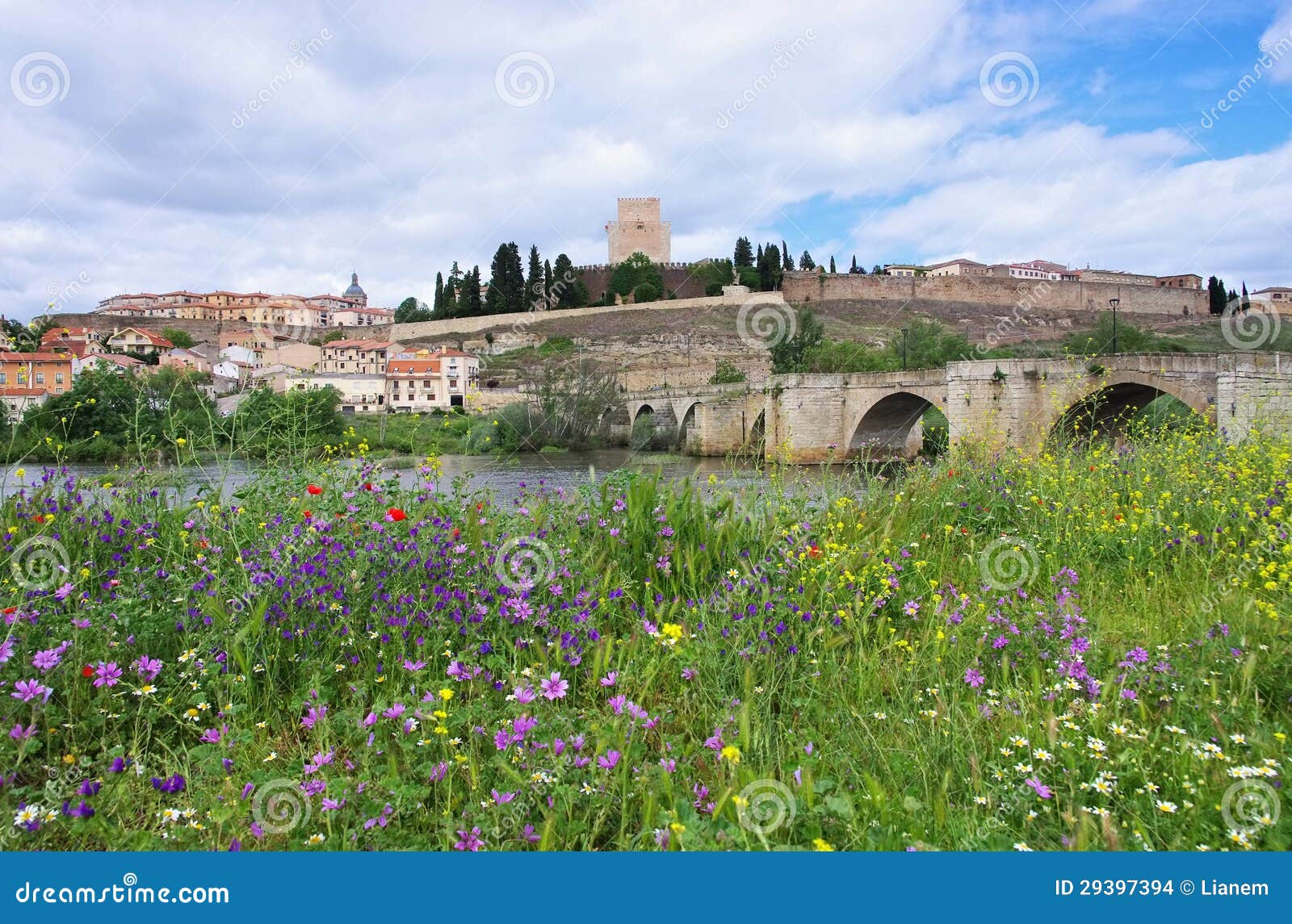 ciudad rodrigo