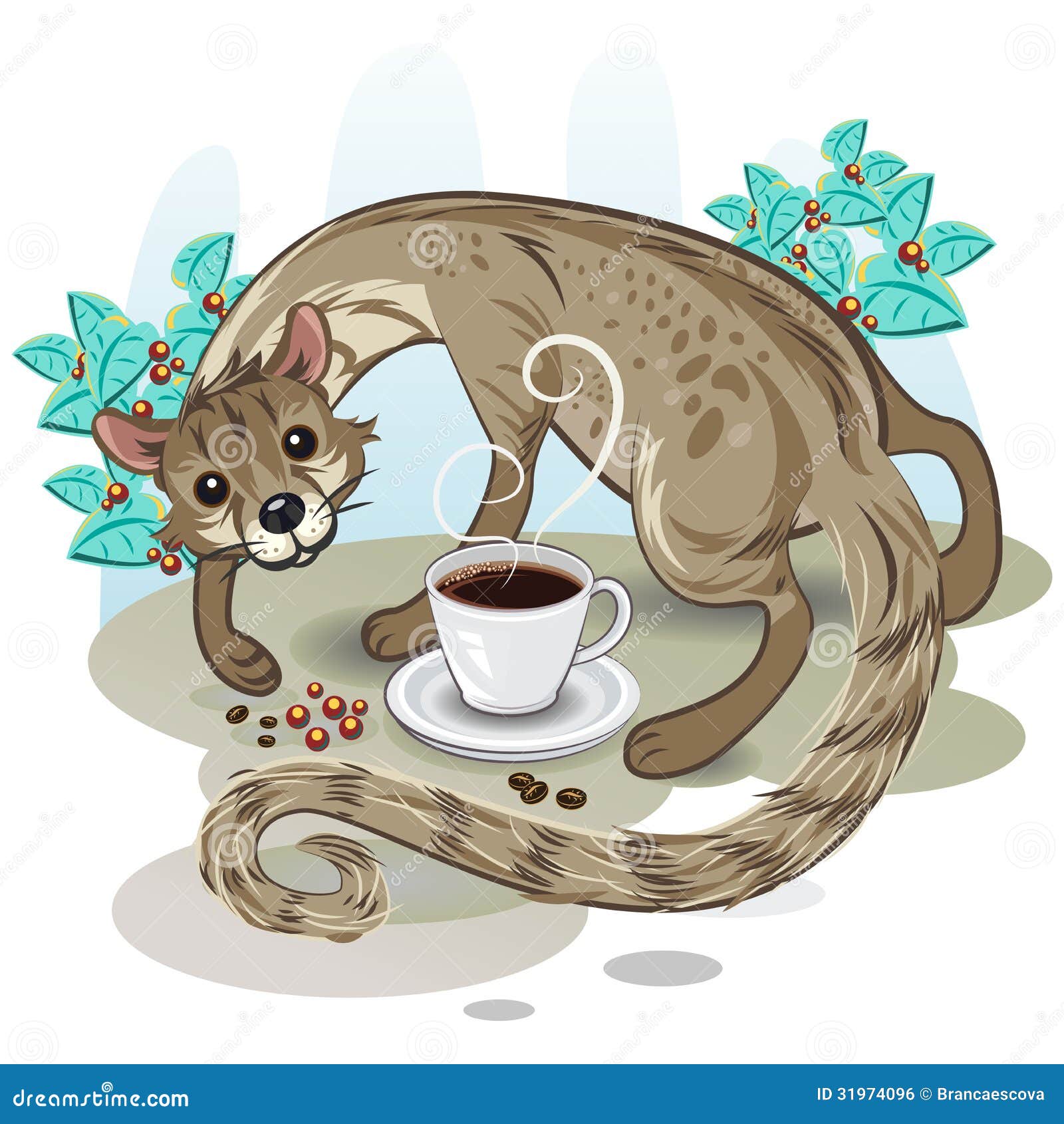 Civet Coffee Kopi Luwak stock vector. Illustration of