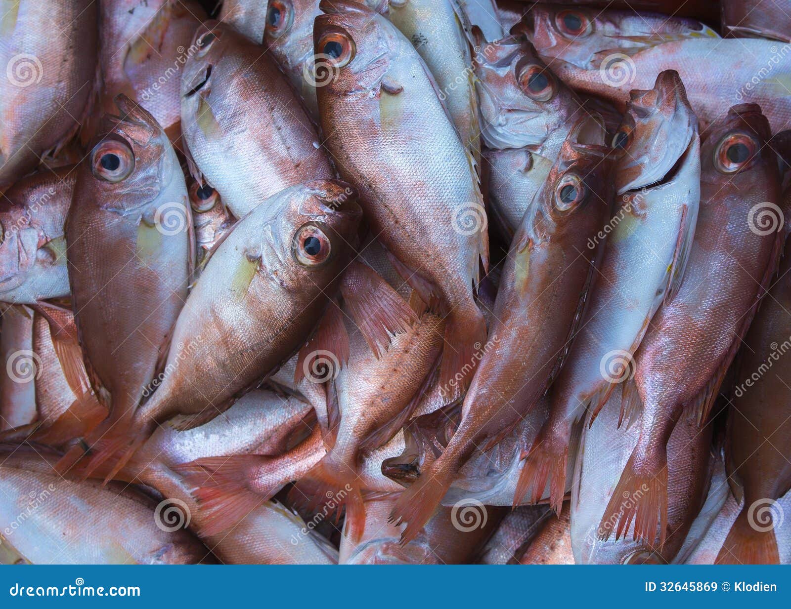 Mercado de Vietnam Phan Thiet - marzo de 2012: Ciérrese para arriba de los pescados cobre-coloreados cogidos en el mar del sur de China.