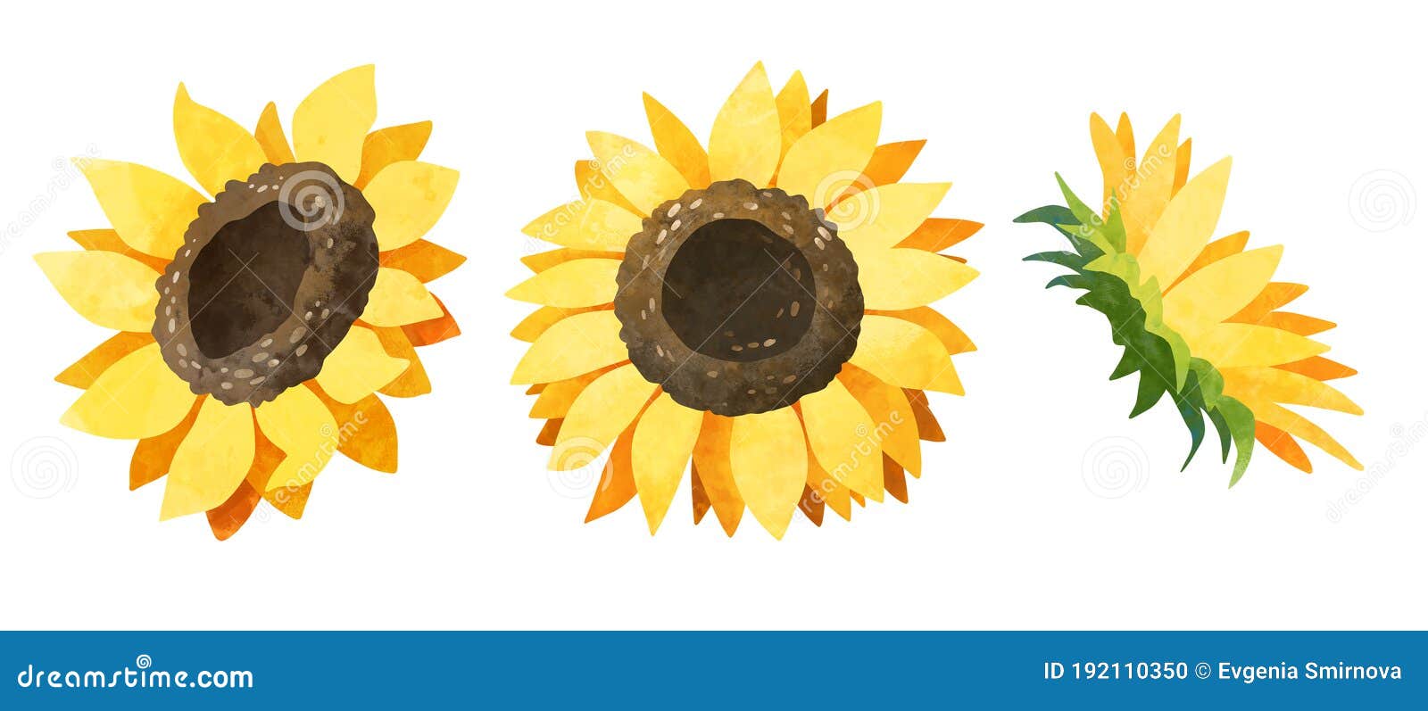 Clímax De Girasol Acuarela. Conjunto De Imágenes Prediseñadas De Flores Amarillas Stock de ilustración - Ilustración de marco, belleza: 192110350 Clímax De Girasol Acuarela. Conjunto De Imágenes Prediseñadas De Flores Amarillas Stock de ilustración - Ilustración de marco, belleza: 192110350