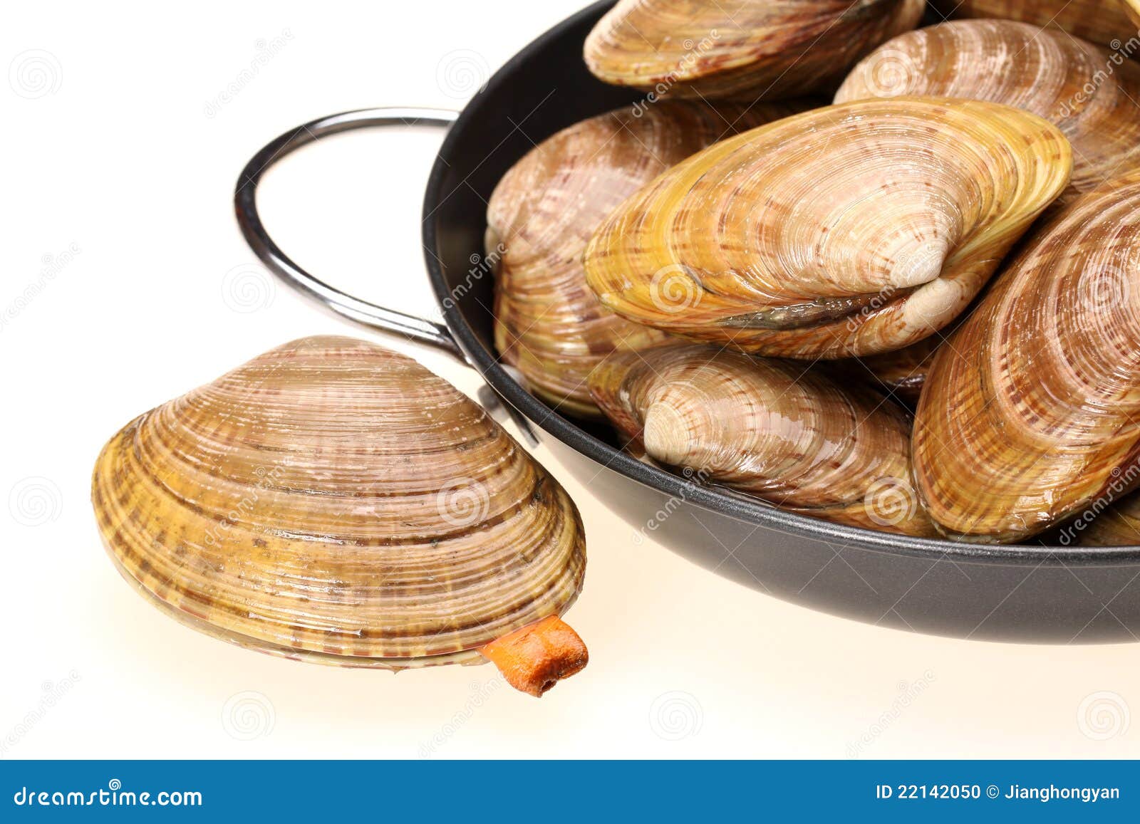 CLAMS stock photo. Image of mussel, aphrodisiac, refreshment 22142050