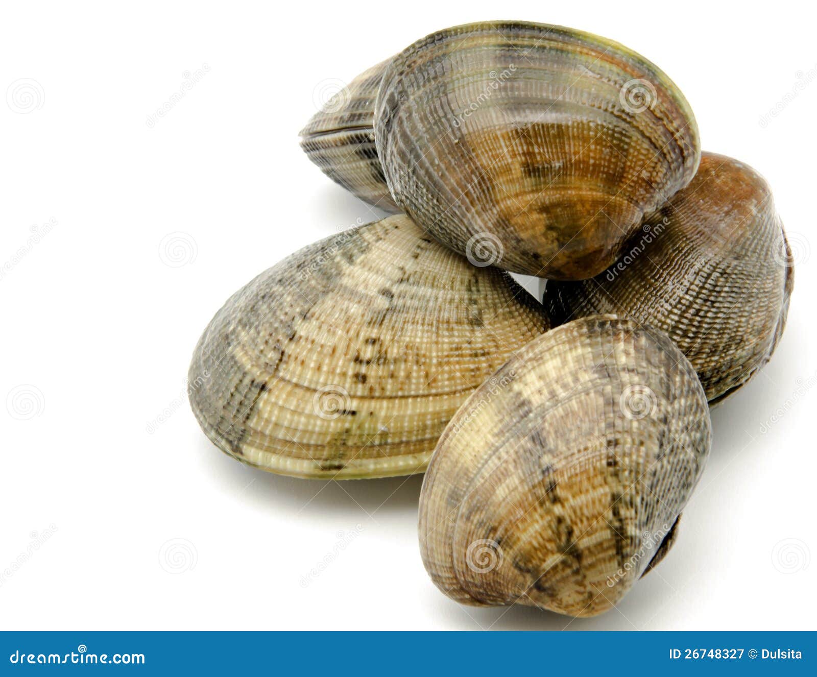 Clams stock image. Image of fresh, background, protein 26748327