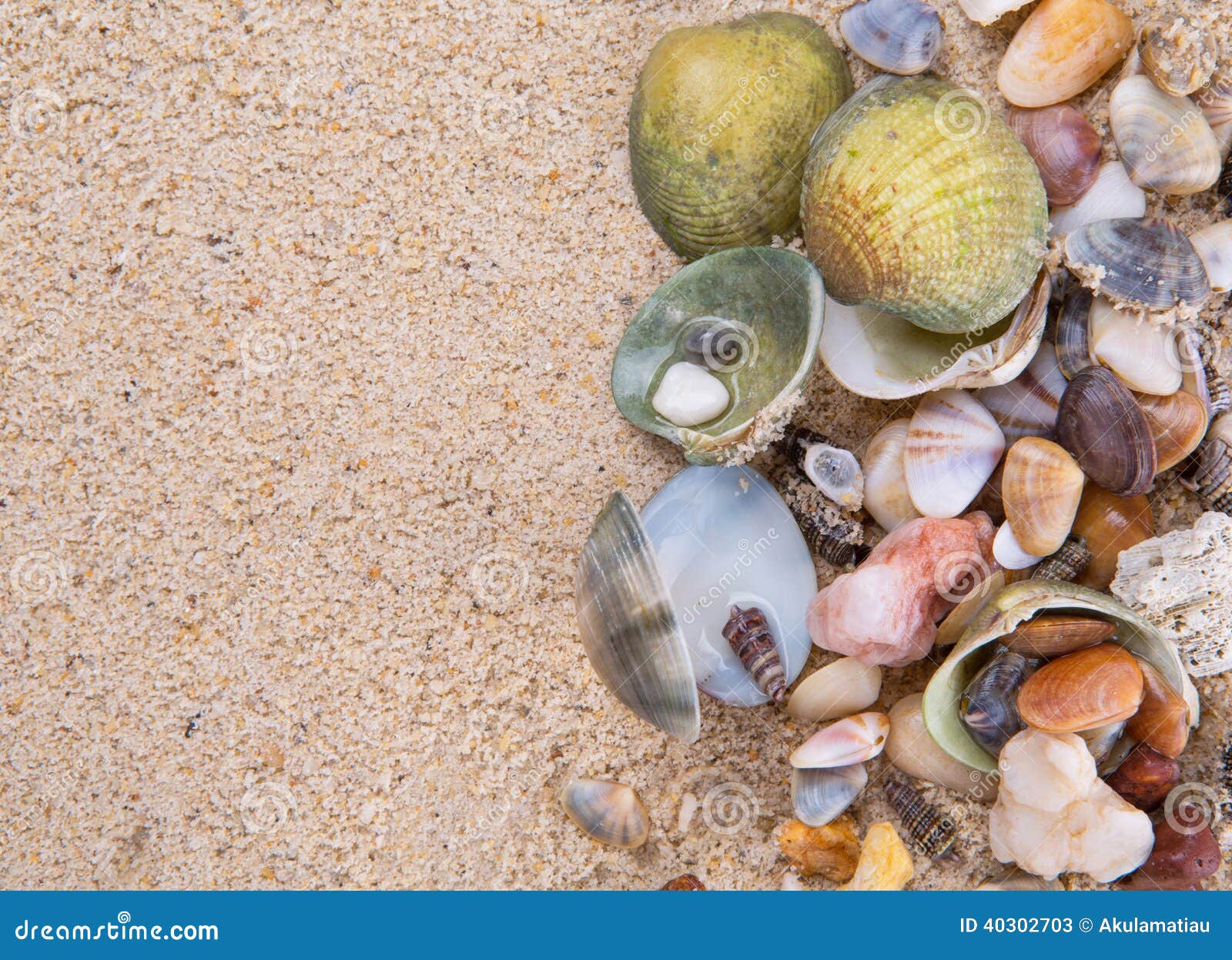 Clams On Beach Sand X Stock Photo Image 40302703