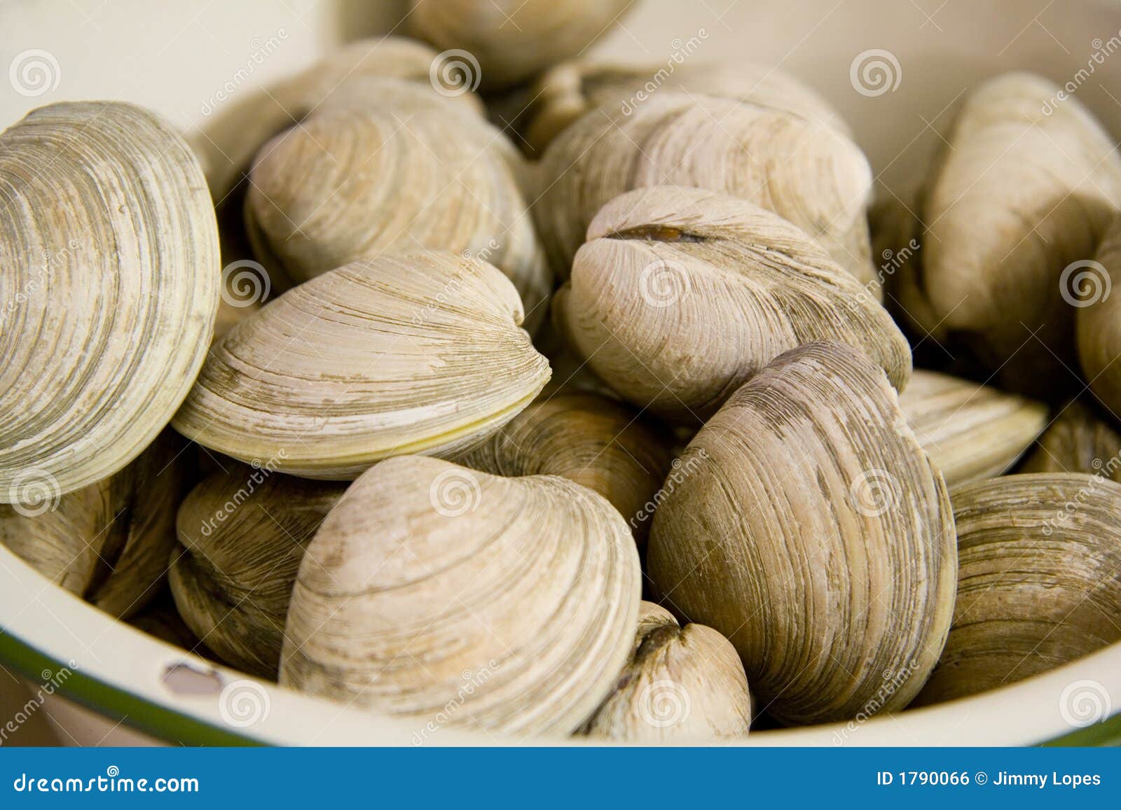 Steamed Clams in a Bowl Ready to Eat