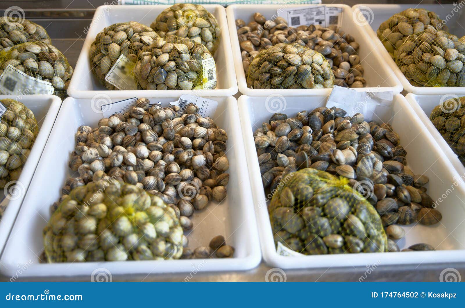 boxes with clams and cockles, seafood from northern spain