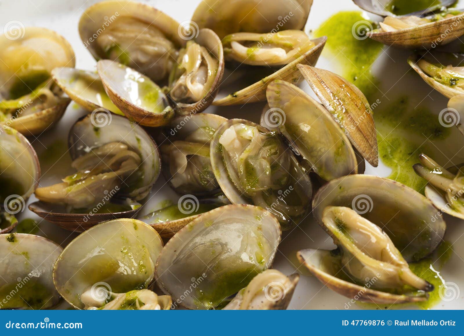 Clams with green sauce stock photo. Image of protein 47769876