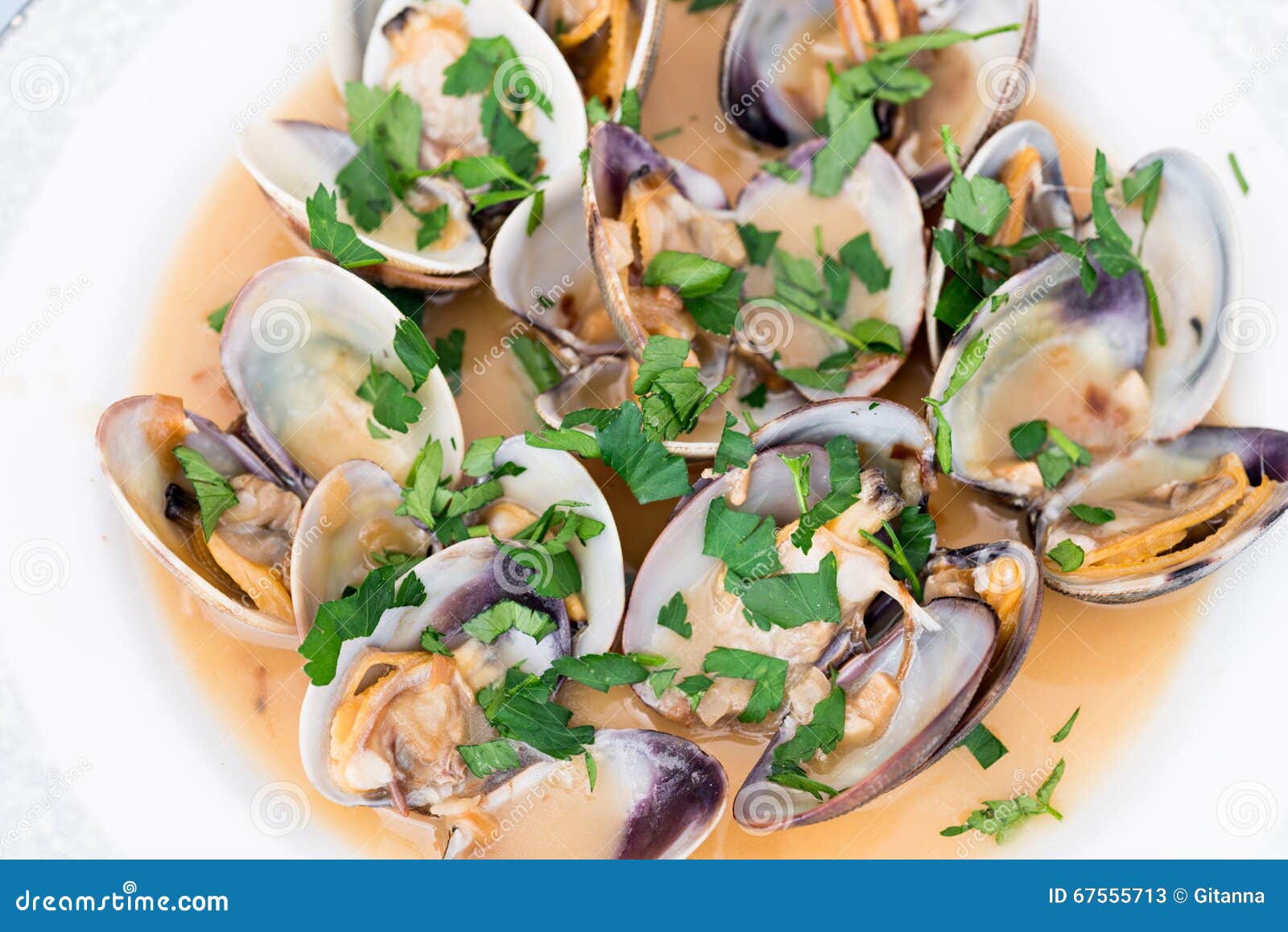 Clams with marinara sauce stock image. Image of clams 67555713
