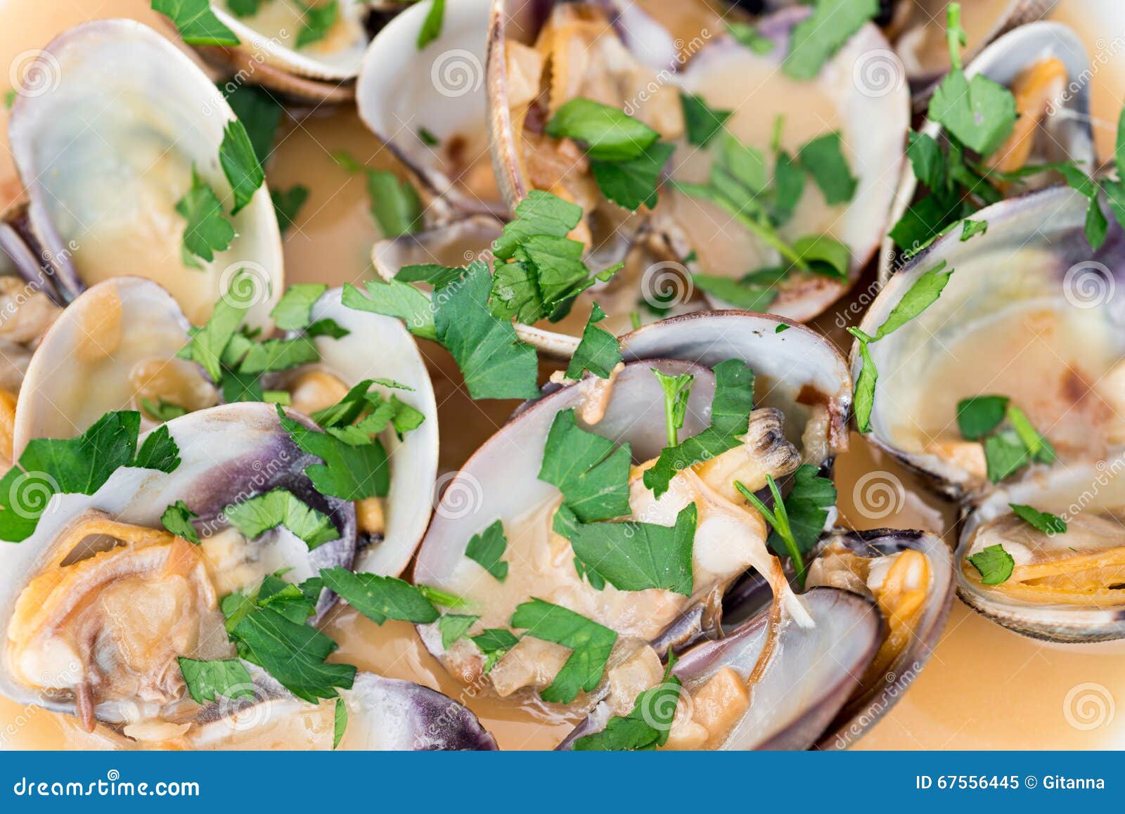 Clams with marinara sauce stock image. Image of animal 67556445