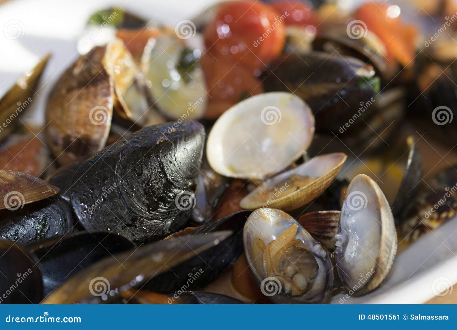 Clams and mussels stock image. Image of clams, seafood 48501561