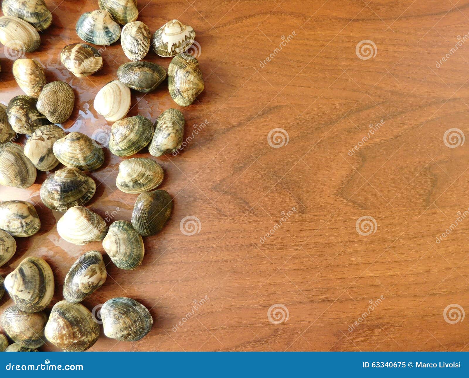 Clams to eat stock image. Image of myidae, gaper, collection 63340675