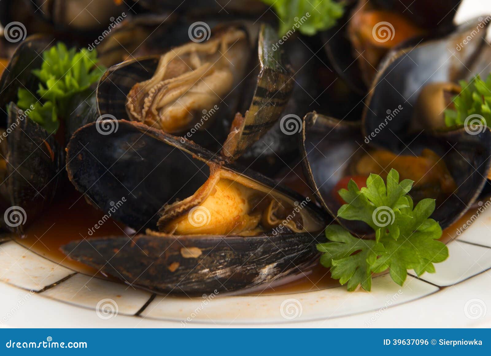 Clams in tomato sauce stock photo. Image of country, served 39637096