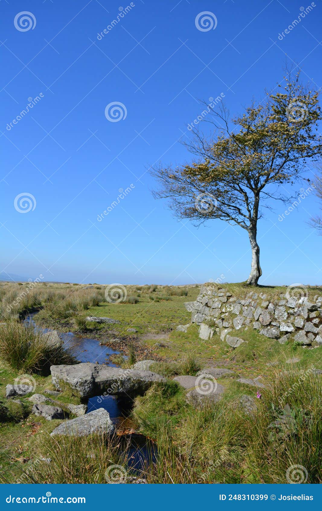 clapper bridge over longash leat, dartmoor national park, devon