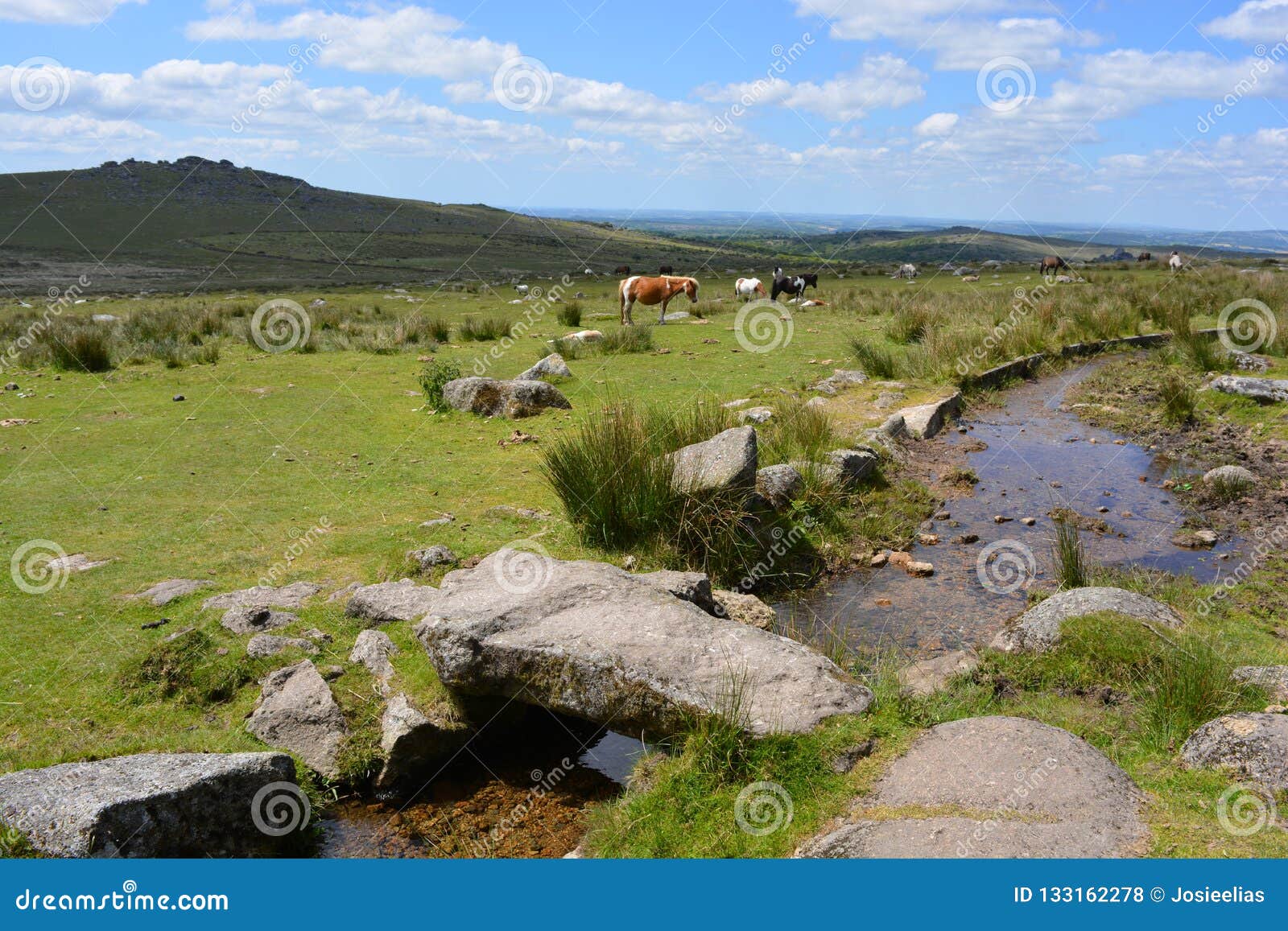 beautiful summer landscape in dartmoor national park, england.