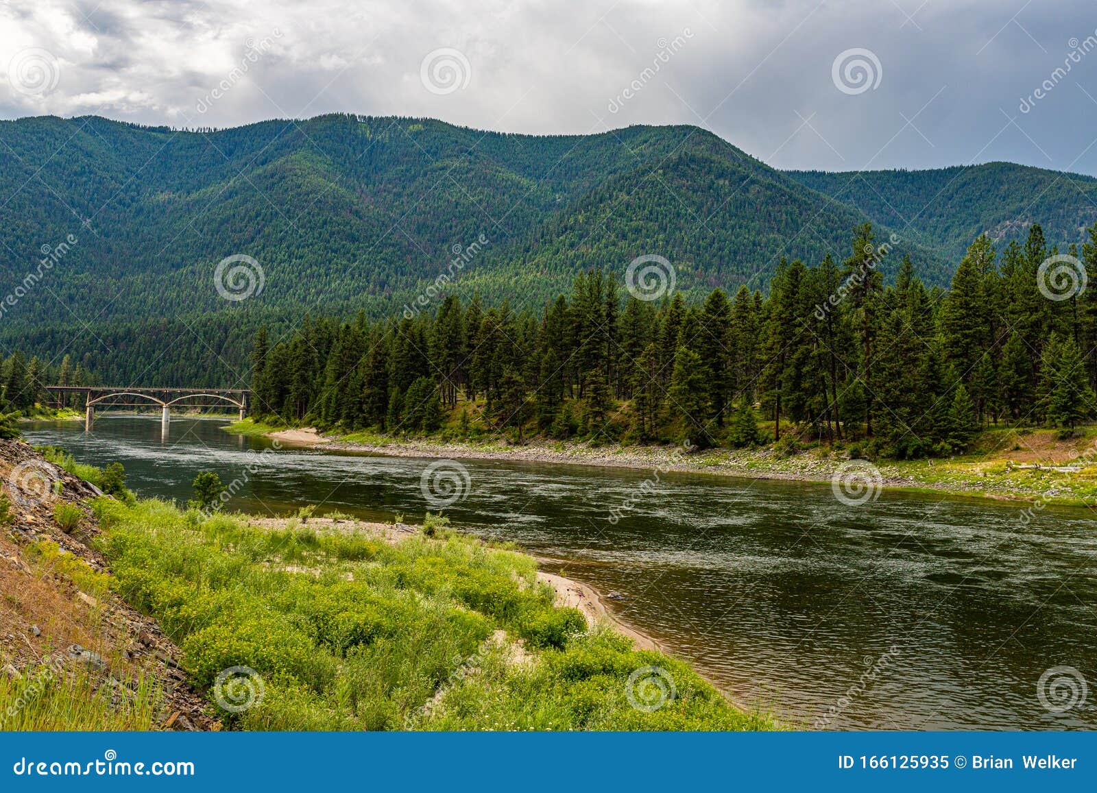 Clark Fork River Montana stock image. Image of green 166125935