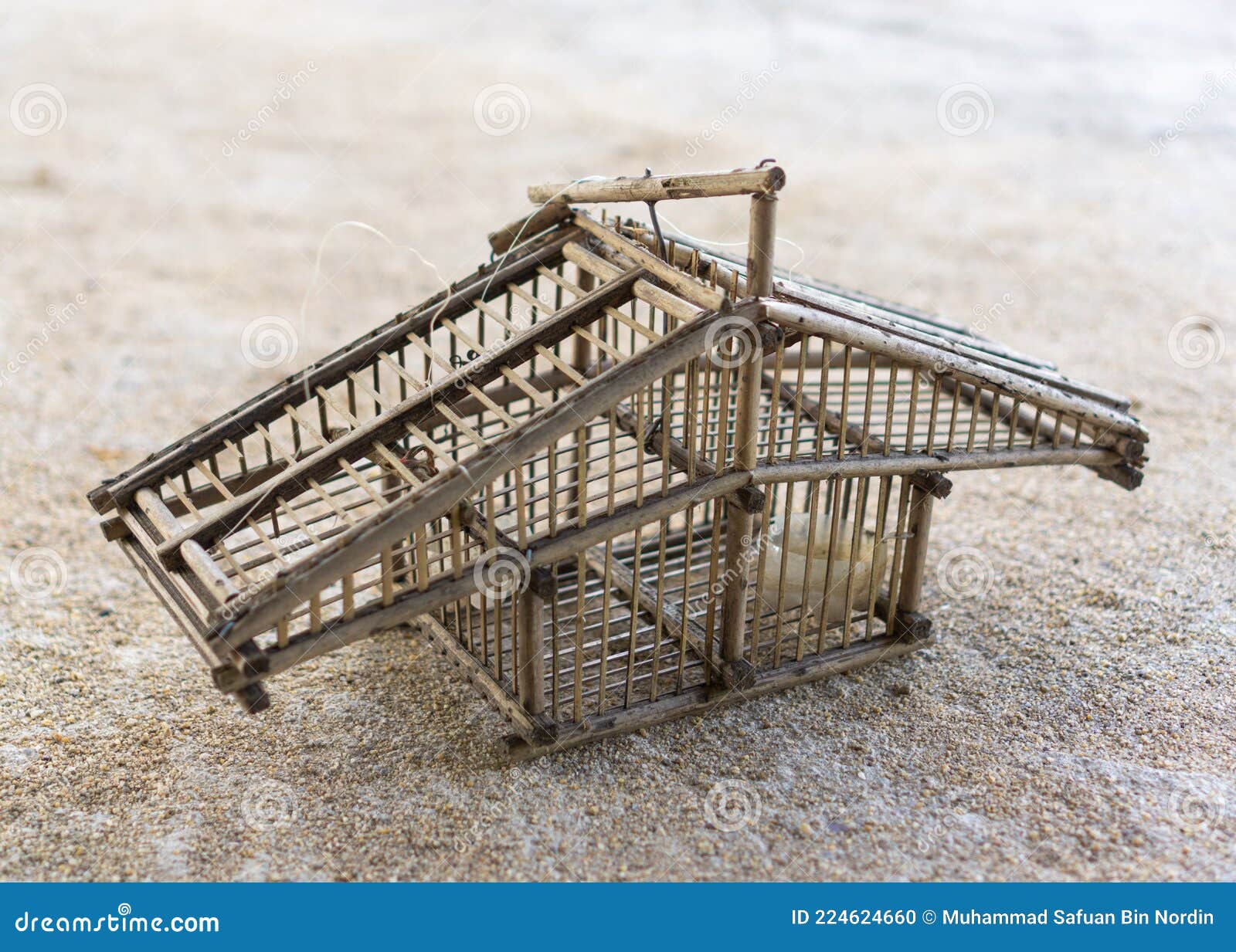 Classic Bird Cage on the Floor Stock Photo Image of decoration