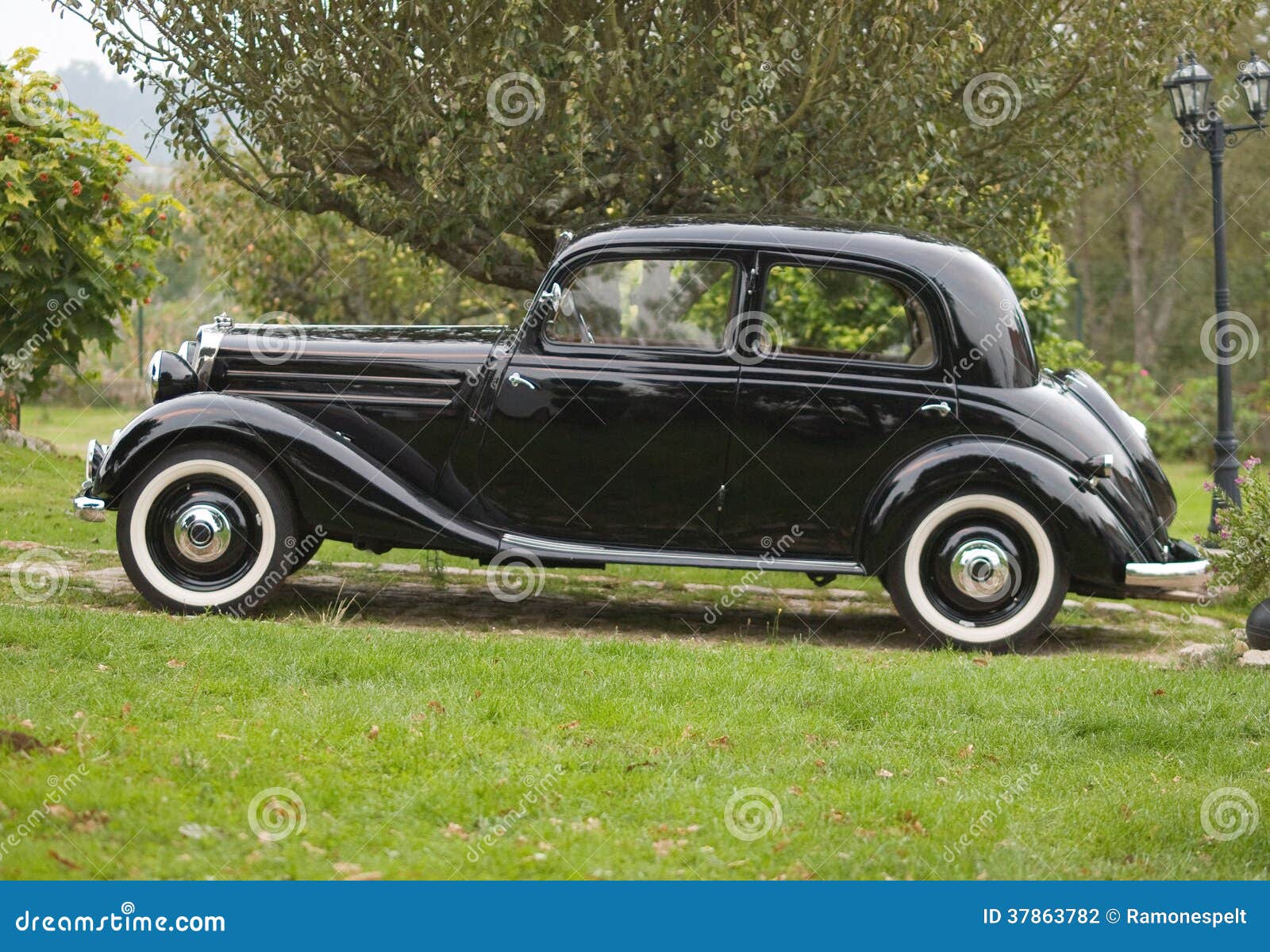 Classic Car in a park stock photo. Image of model, style 37863782