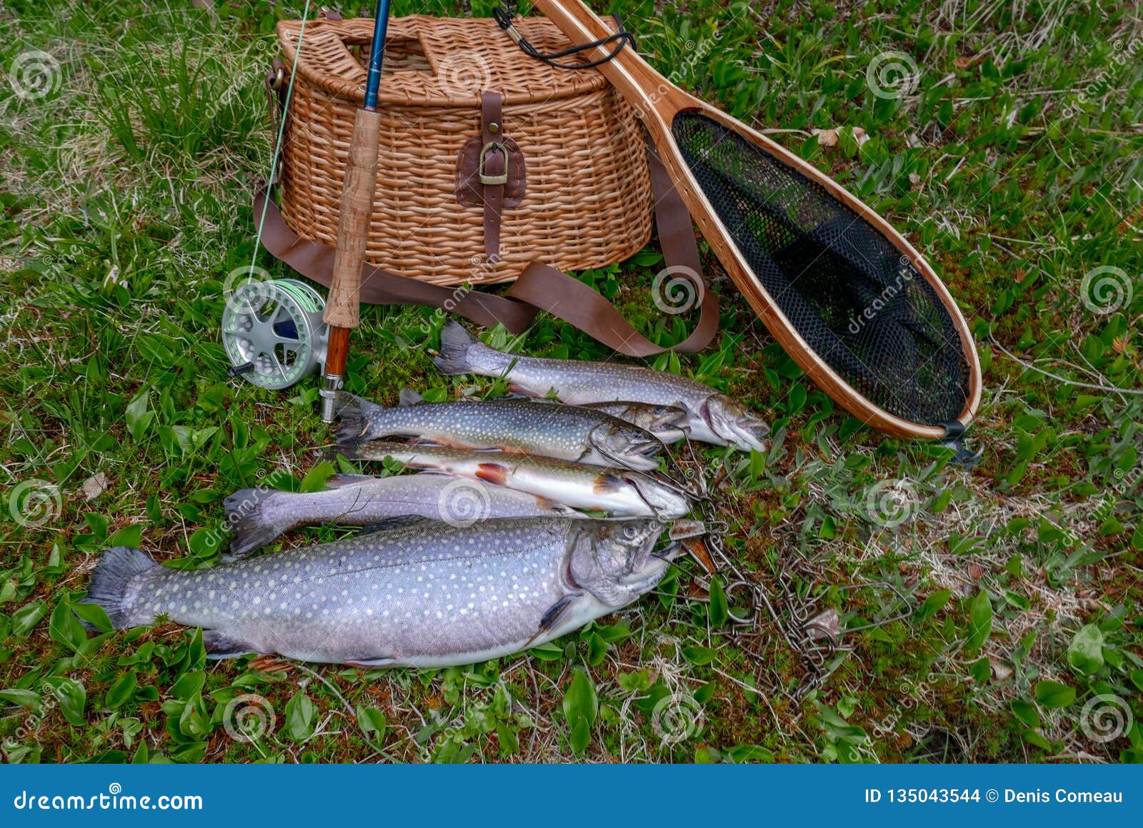 Classic Fly Fishing Tackle with Catch of the Day. Stock Photo