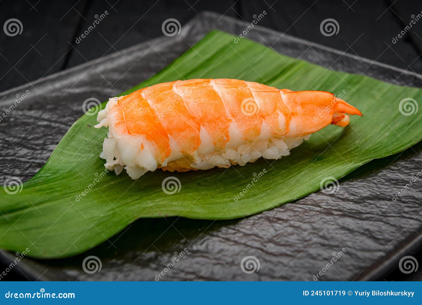 Classic Japanese Sushi with Shrimp Stock Image Image of maki