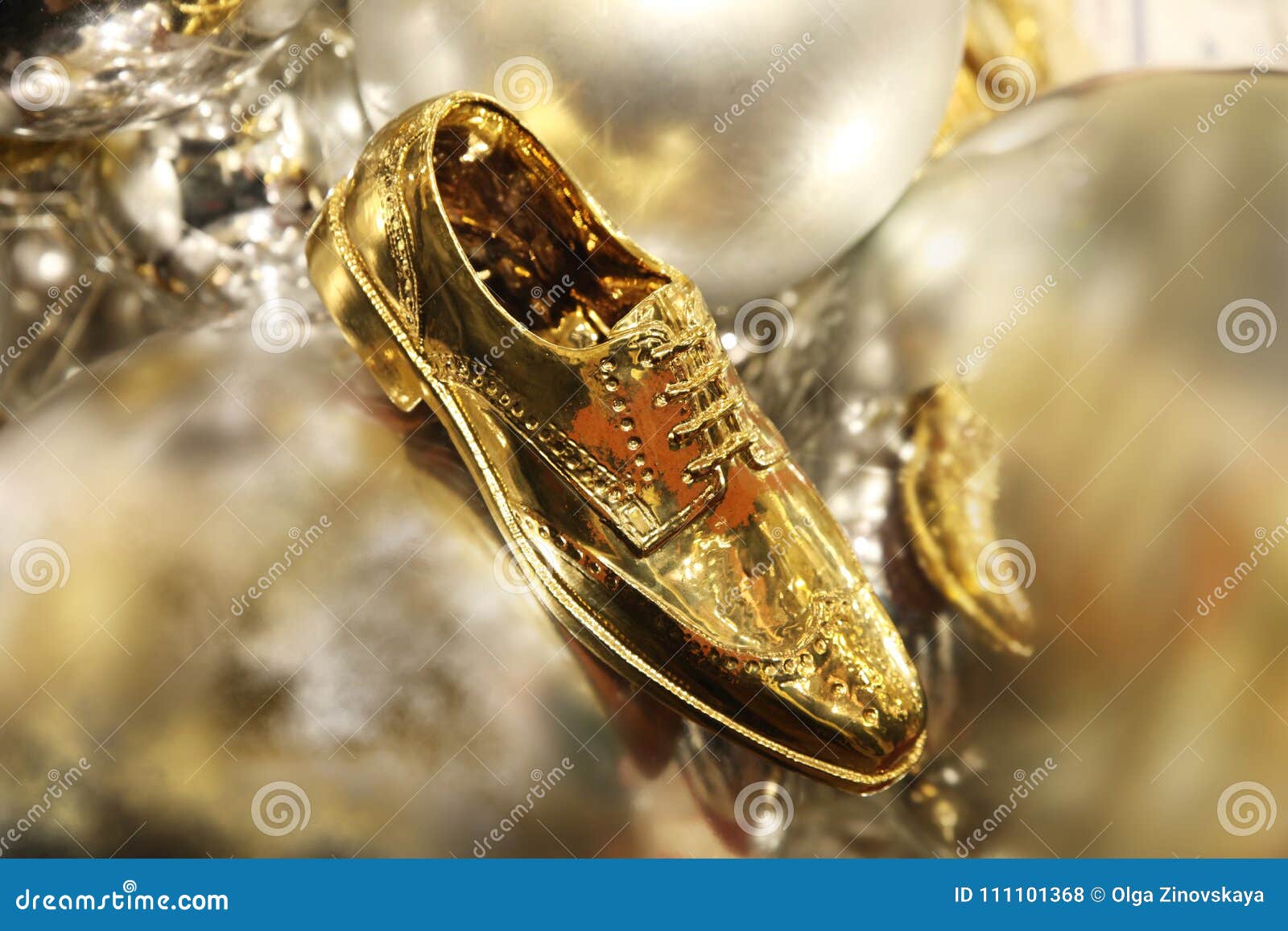 fancy gold shoes