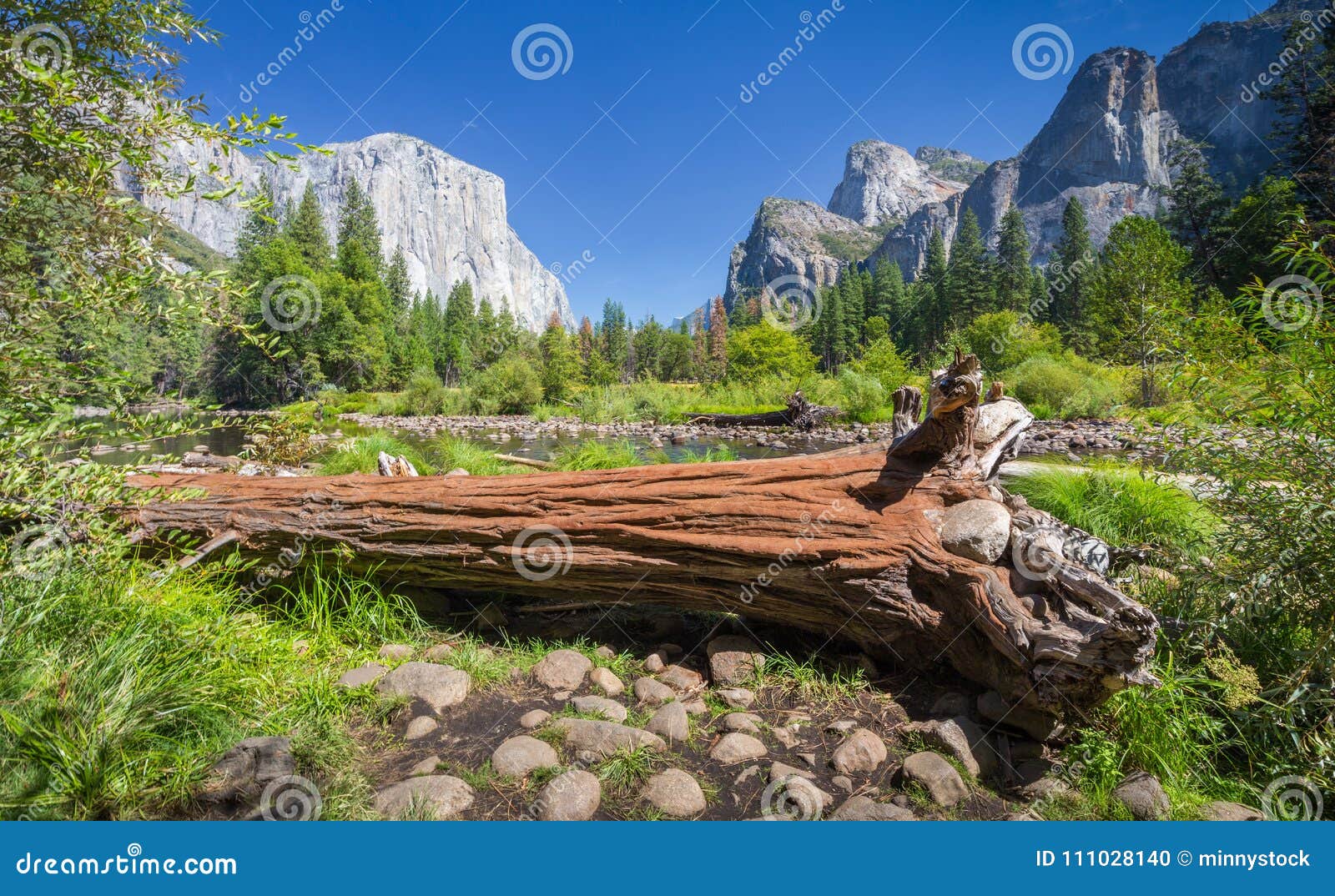 yosemite national park in summer, california, usa