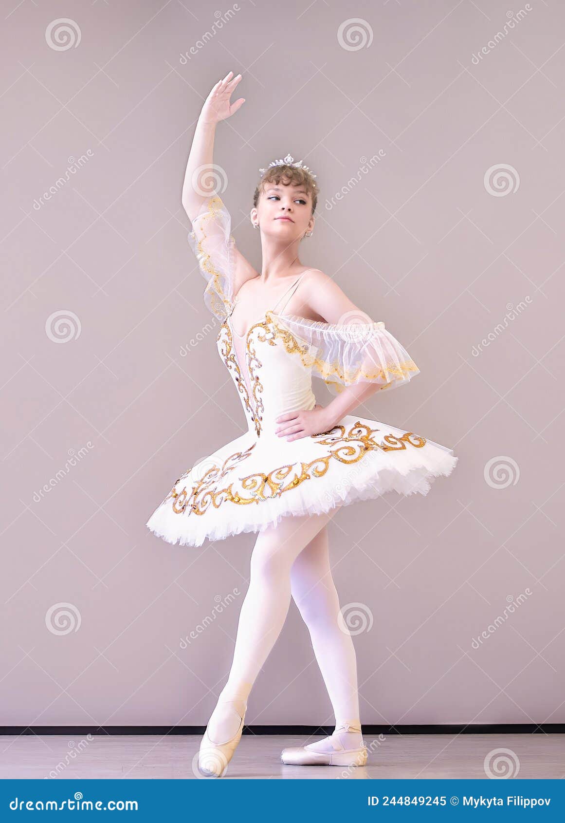 The classic ballerina posing at ballet barre Stock Photo by master1305